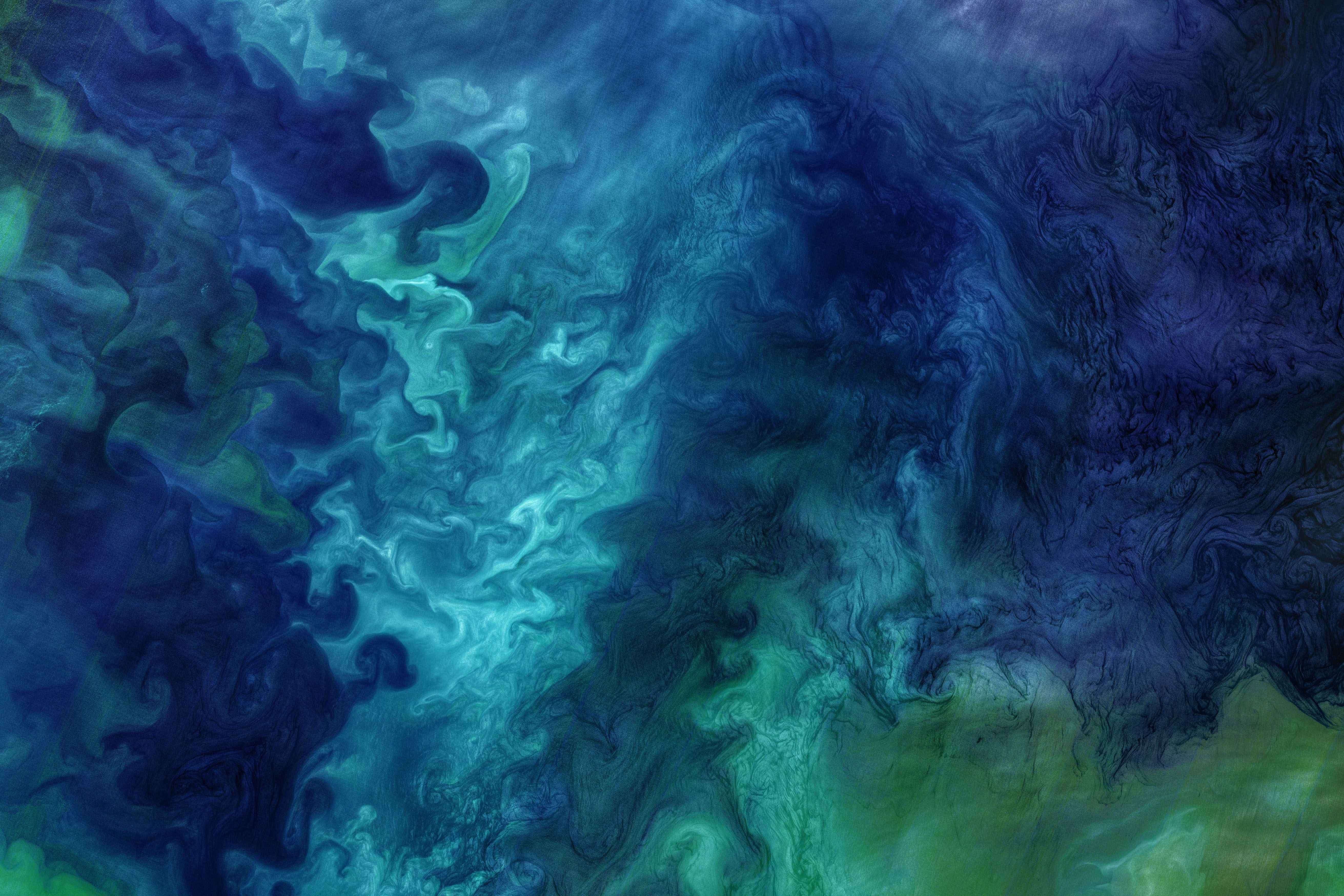 Grüne Planktonschwärme durchziehen die blauen Gewässer vor der Küste Alaskas.
