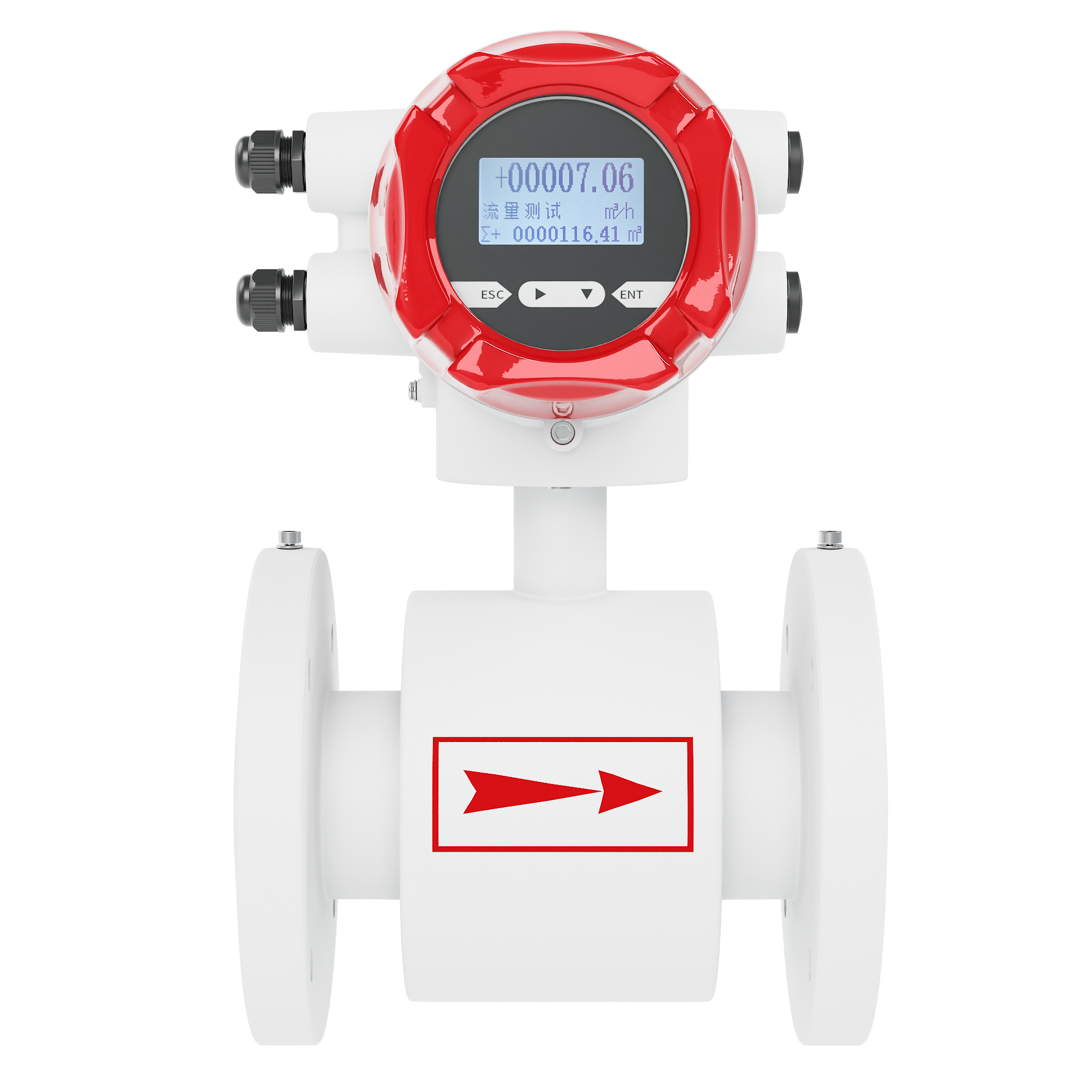 BW-FI-LDG-G-DN50/DN100 Electromagnetic Flowmeter