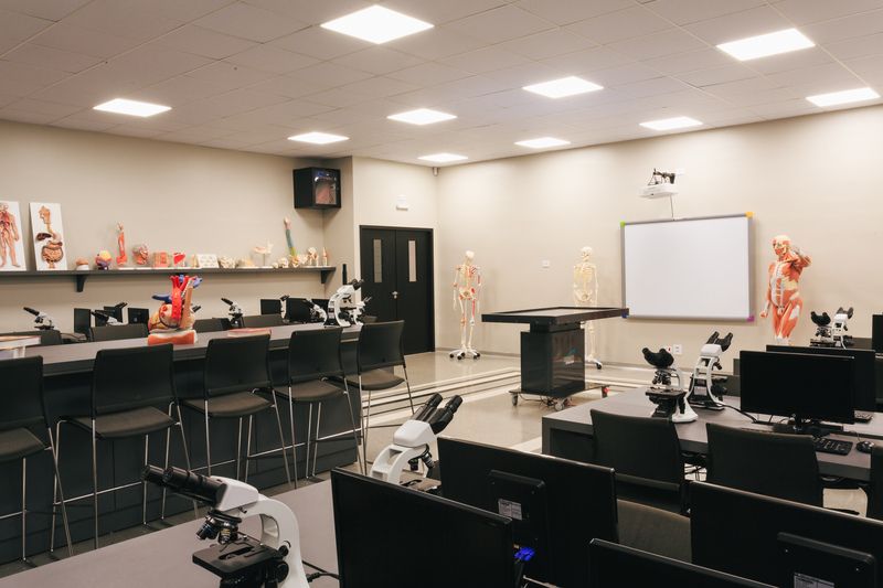 LABORATÓRIO MORFOFUNCIONAL 3 (1).jpg