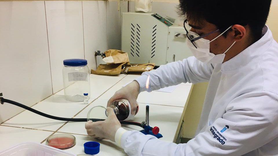 Acadêmicos de Nutrição desenvolvem jogos lúdicos para alunos da educação infantil