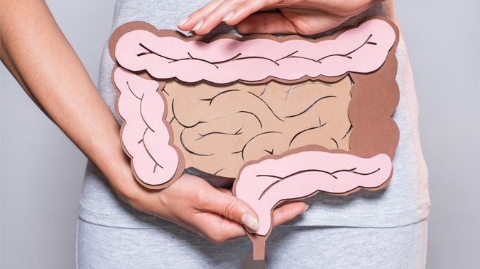 Curso de Direito do Integrado celebra 20 anos de história