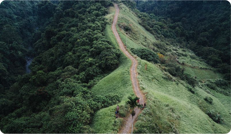 claim section responsive image