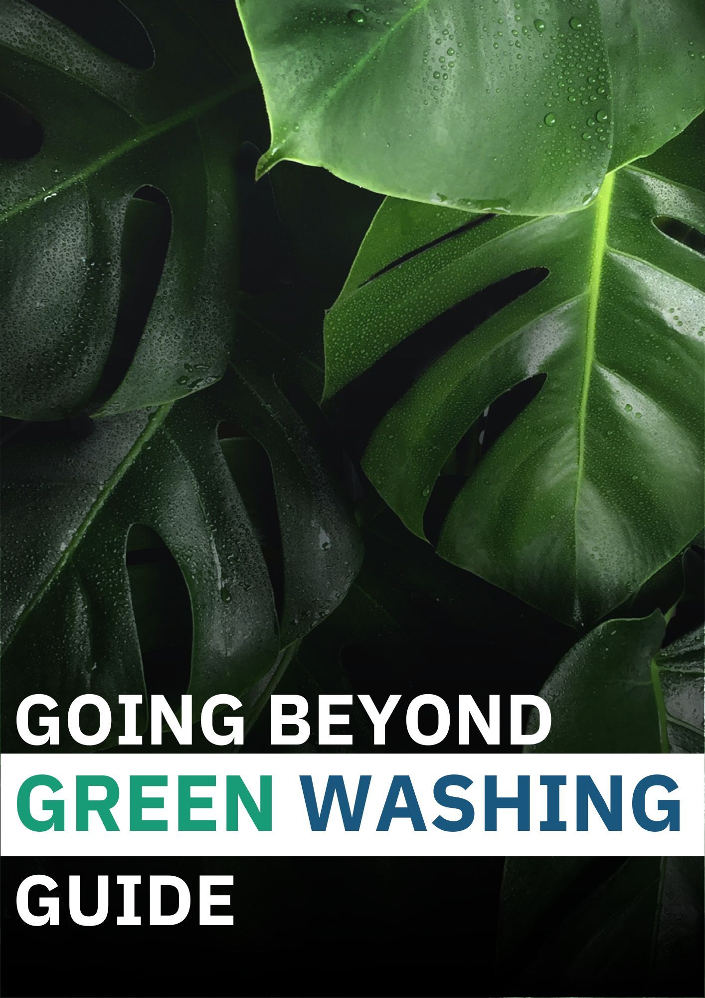 Going Beyond Greenwashing Guide