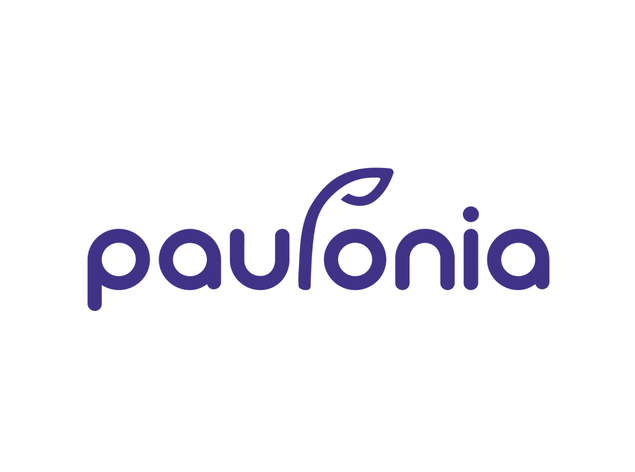 Paulonia.png