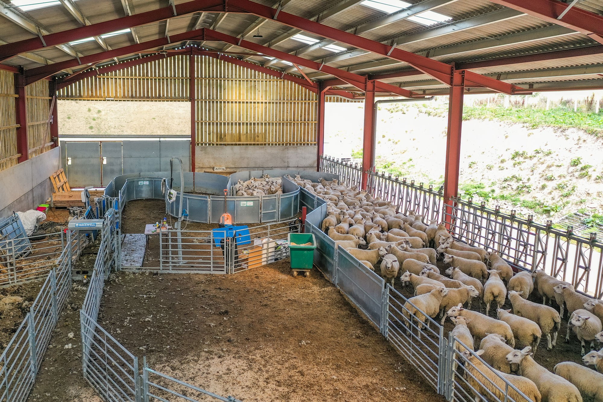 Sheep Container Sheep Housing Systems
