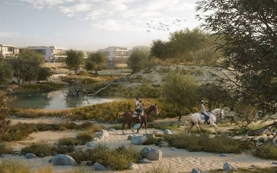 Wadi & Lake
