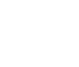 FIVE Holdings logo