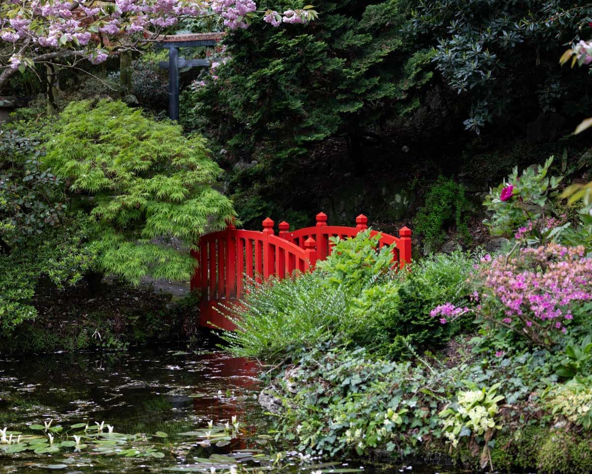 Themed Gardens