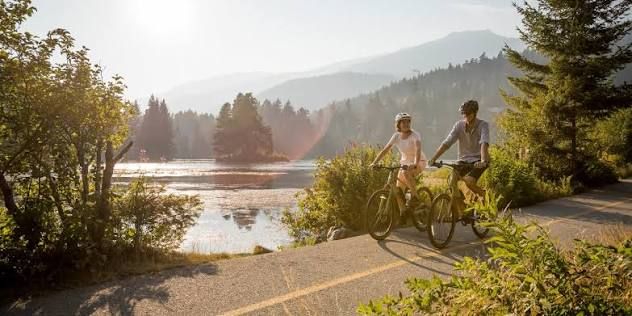 Car-Free Lanes & Cycle Tracks