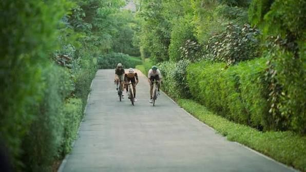 Cycling & Jogging Tracks