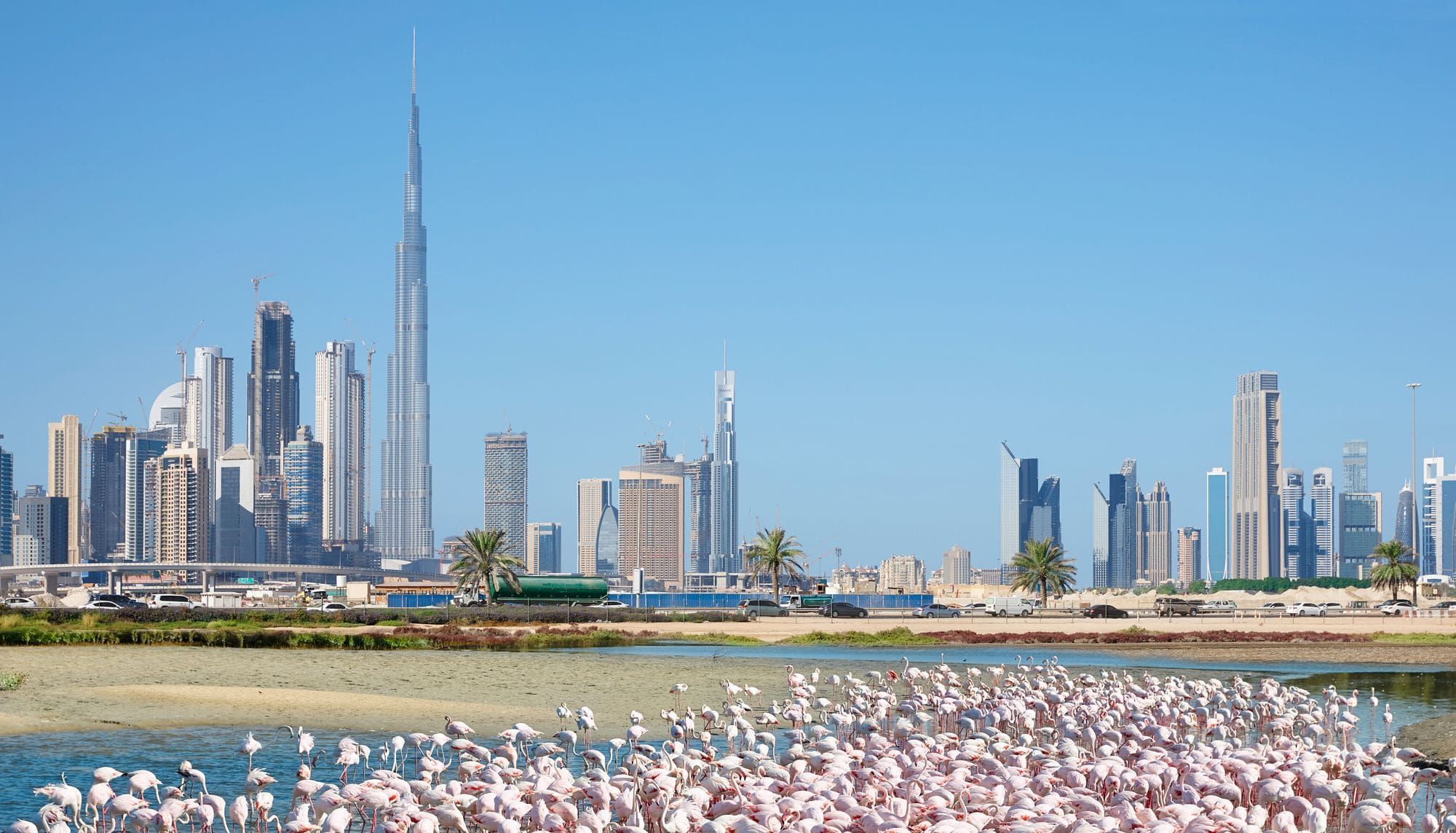 Ras Al Khor Wildlife Sanctuary