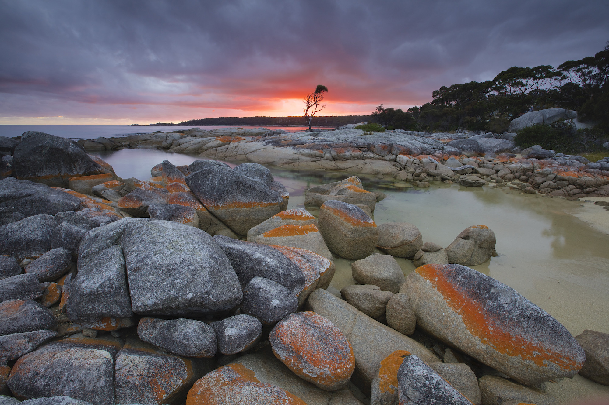 Binalong Bay - Destination Bay of Fires