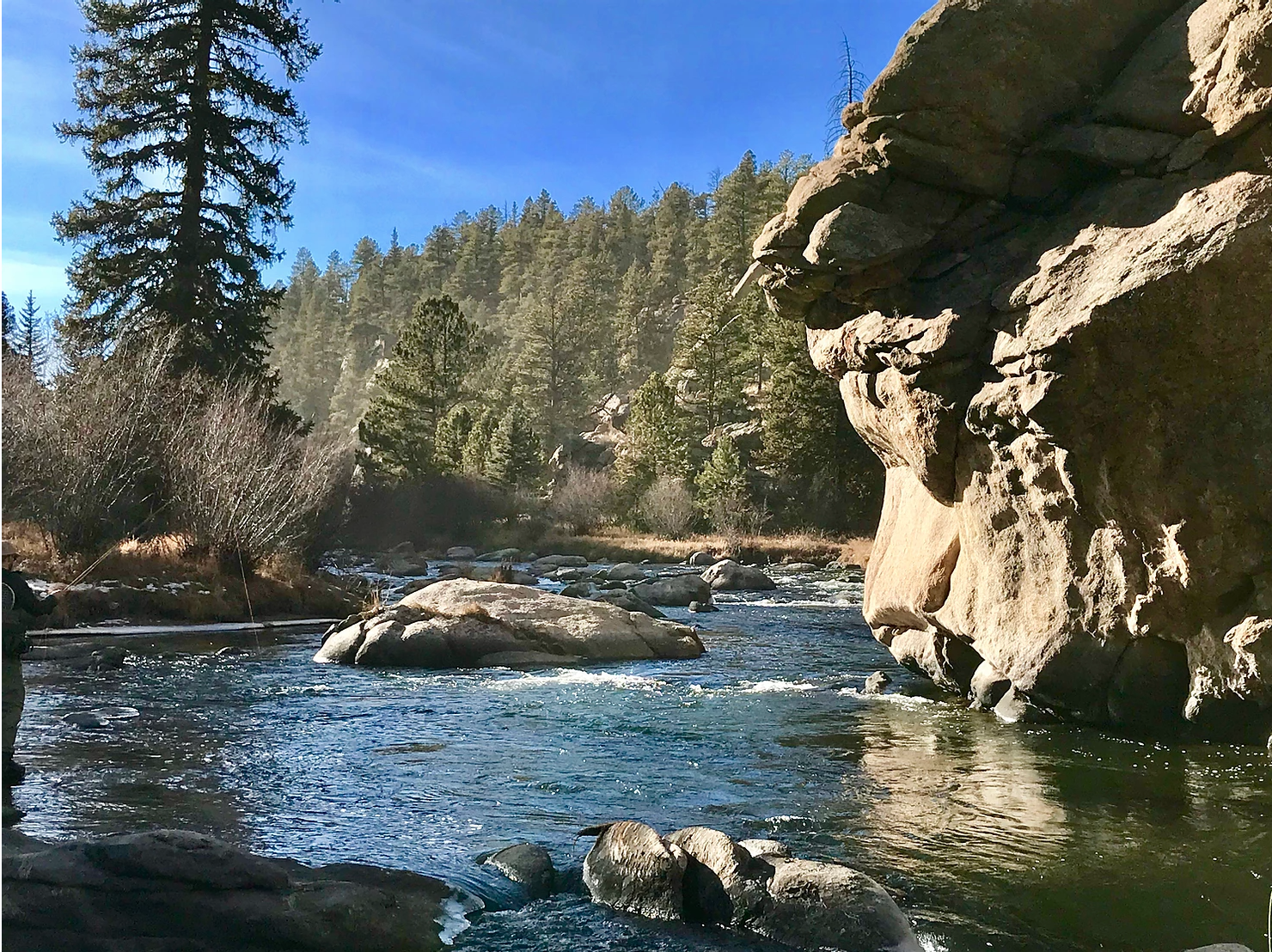 South Platte River: Eleven Mile Canyon