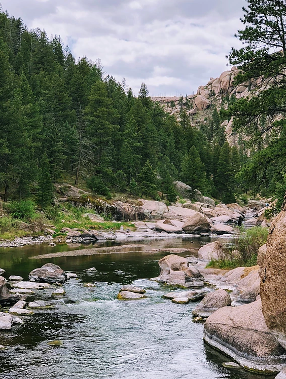 Cheesman Canyon