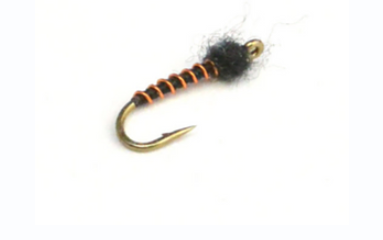 Top Five Flies For The South Platte