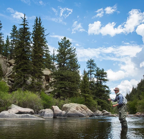 Fly Fishing Eleven Mile Canyon