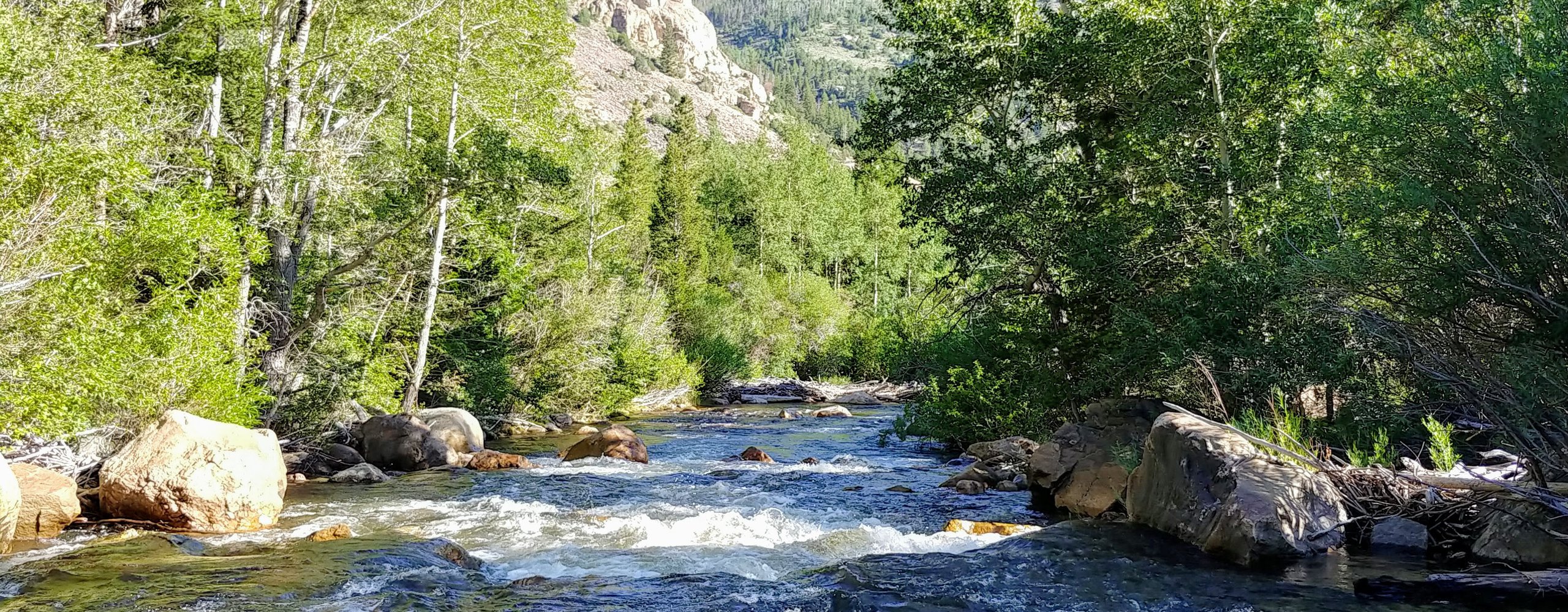 Classic Poudre Canyon Trout (Colorado trout fishing) 