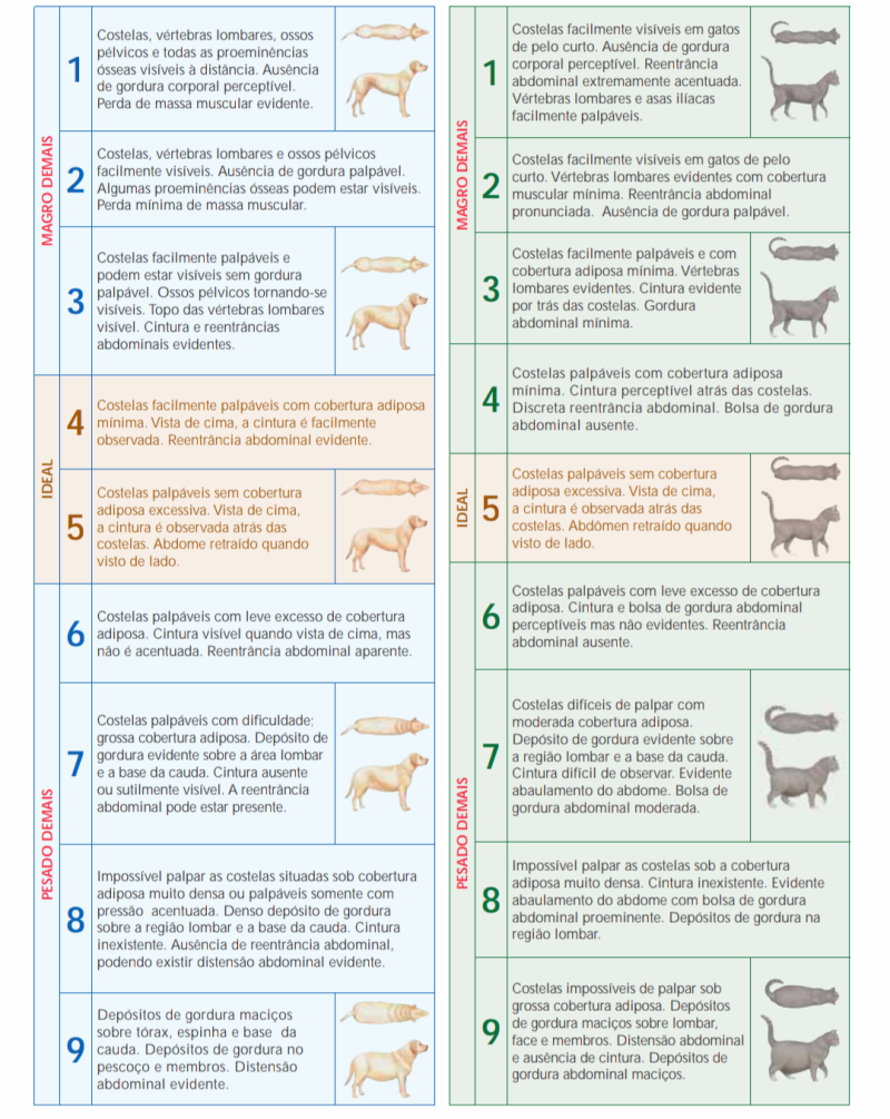 Ficha de Anamnese Nutricional Nutrir, PDF, Alimentos