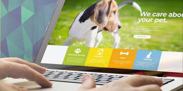 Como Fazer Marketing para Pet Shop