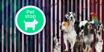 5 Ideias de Logo para Pet Shop: Como escolher o ideal?