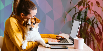 Pet Shop Online: Como aumentar seu faturamento!