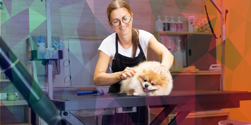 Gestão de Serviços para Pet Shop: Estratégias para Aumentar Lucro e Produtividade!