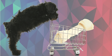 Gerencie as Compras do seu Pet Shop com Maestria!