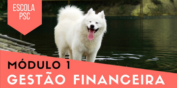 [MINI CURSO] Gestão Financeira para Pet Shops