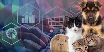 Marketing para Pet Shop: Como trabalhar sua marca