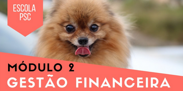 [MINI CURSO] Gestão Financeira para Pet Shops (parte 2)