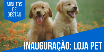 Como inaugurar minha pet shop? Veja dicas