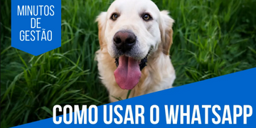 Whatsapp em Pet Shop: 4 Dicas de como utilizar