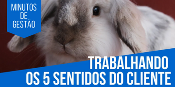 Como usar os 5 sentidos do cliente na sua pet shop