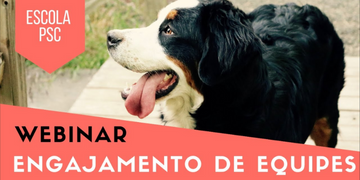 Engajamento de Equipes em Pet Shops