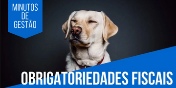 Obrigatoriedades Fiscais para Pet Shops: Saiba tudo