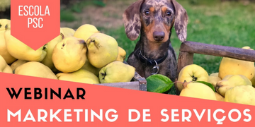 Marketing de Serviços em Pet Shop: Estratégia de Vendas