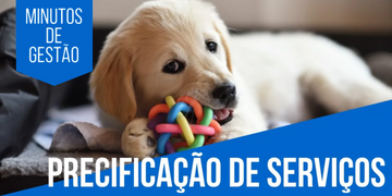 Precificação de Serviços: 3 Estratégias para Pet Shops