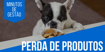 Gestão Estoque Pet Shop: Como lidar com perda de produto