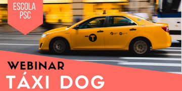 Táxi Dog: Faça sua pet shop crescer com esse serviço