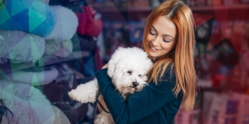 Gestão Eficaz de Estoque para Pet Shops: Estratégias para o Sucesso