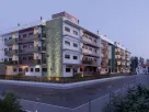 Oasis-2.webp