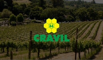 Cravil