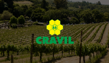 Cravil