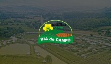 Dia de Campo Cravil