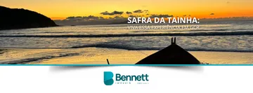 Safra da Tainha em GCR: tradição e turismo local
