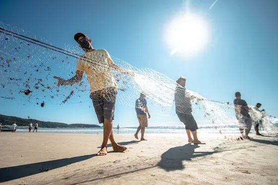 Pesca da Tainha