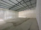 20250307T0926570300-785277441.jpg