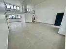 20250826T1404560300-390386382.jpg 20250826T1404560300-390386382.jpg