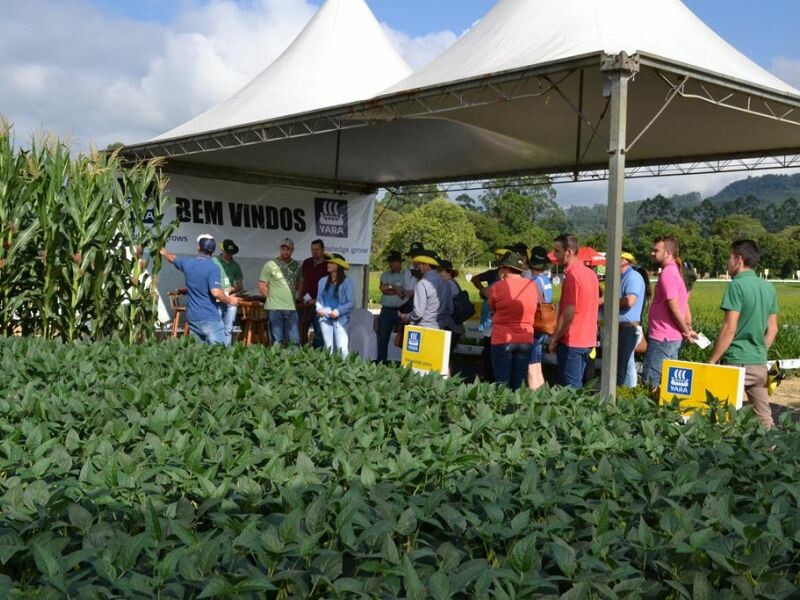 Dia de Campo Cravil reúne mais de 3 mil pessoas-11.jpg