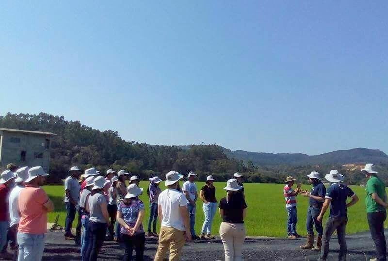 Alunos da UFSC conhecem sistema de produção de arroz do Alto vale-1.jpeg